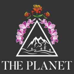 The Planet - ® PosiCharge ® Sport Wick ® Heather Fleece 1/4 Zip Pullover - Front/Back Design